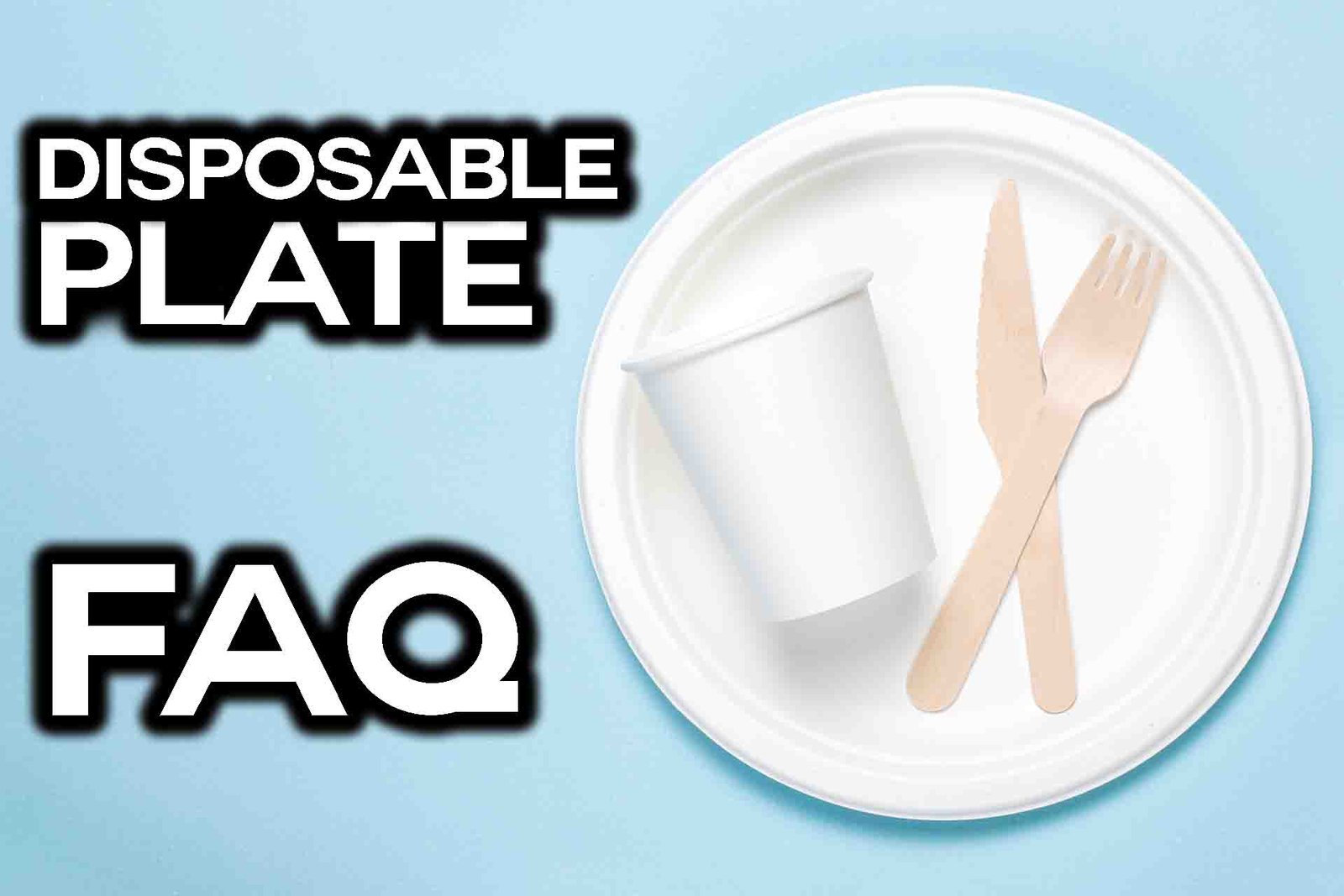 Choosing the Right Disposable Plate FAQ Answered Best Smart Guide